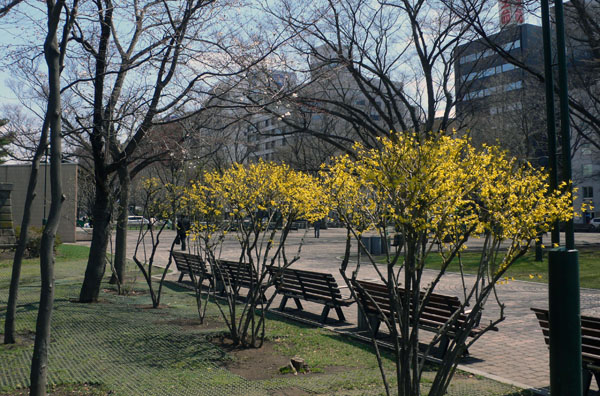 a0046429_21273839.jpg