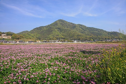 d0029333_2159581.jpg