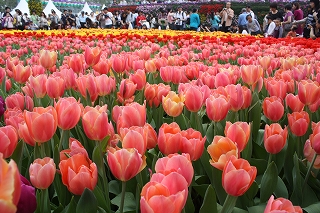 c0008439_0295798.jpg