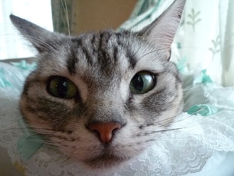 a0062240_131131.jpg