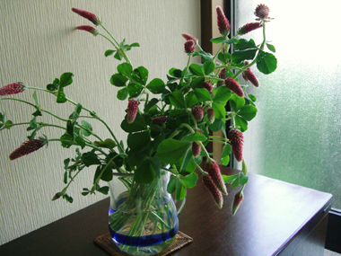 e0110940_320158.jpg
