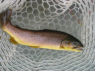 f0065341_01215.jpg