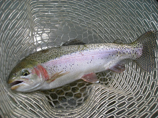 f0065341_1484169.jpg