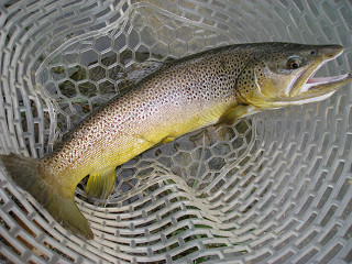 f0065341_1493236.jpg