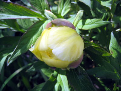 c0147952_23345790.jpg
