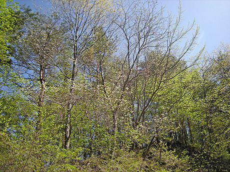a0001354_2272443.jpg