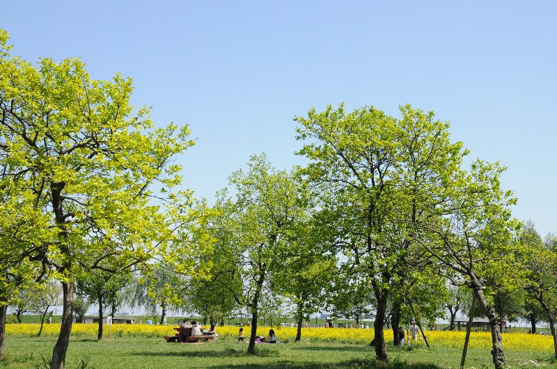 e0159454_22221499.jpg