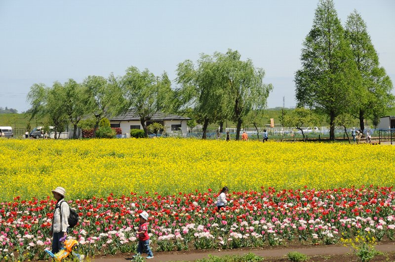 e0159454_22373083.jpg