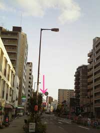a0013855_11411457.jpg