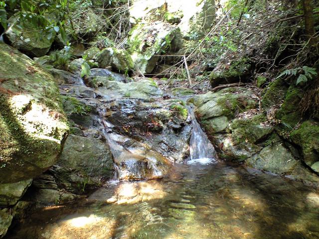 b0002156_9285942.jpg
