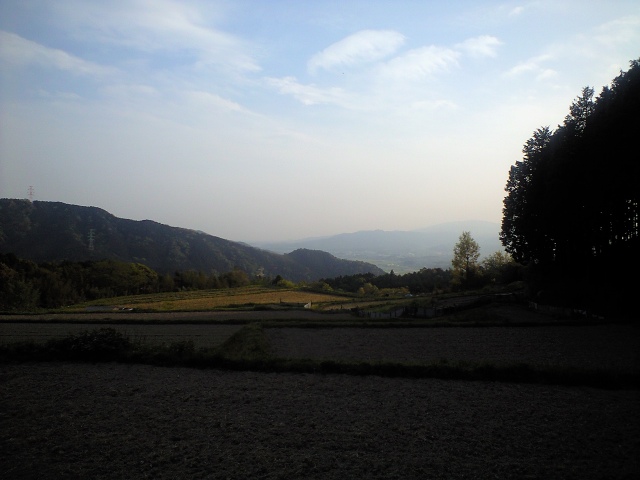 b0002156_931718.jpg
