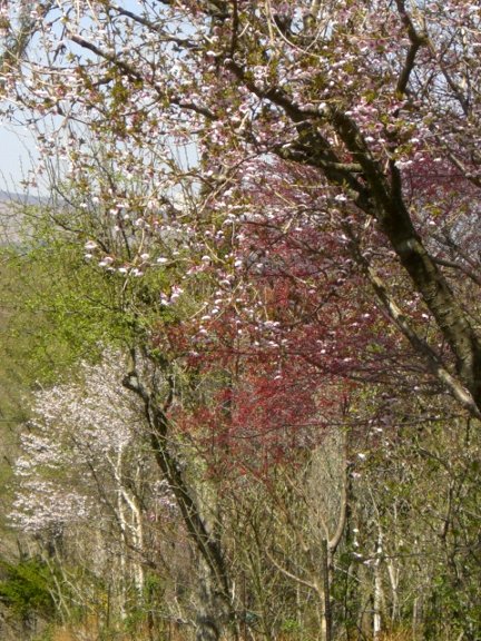 e0017562_23491931.jpg