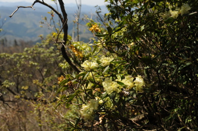 d0105063_13572585.jpg