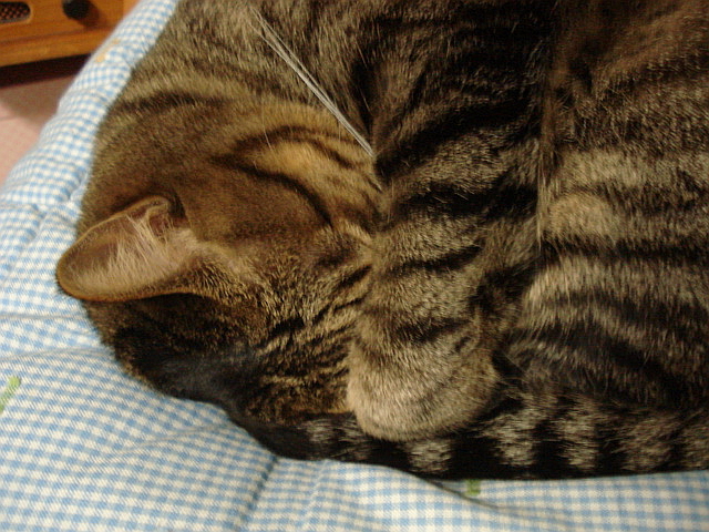 f0132565_7212227.jpg