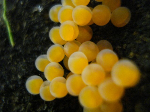 f0156765_2023192.jpg