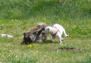 f0203369_1252242.jpg