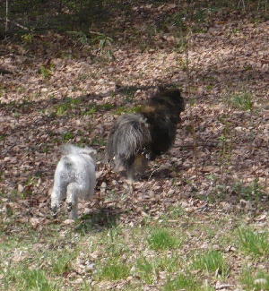f0203369_1253550.jpg