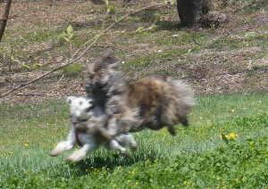 f0203369_1255740.jpg