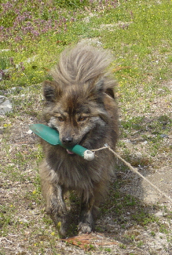 f0203369_1262213.jpg