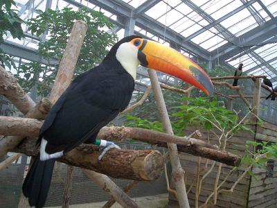 d0136171_1227224.jpg