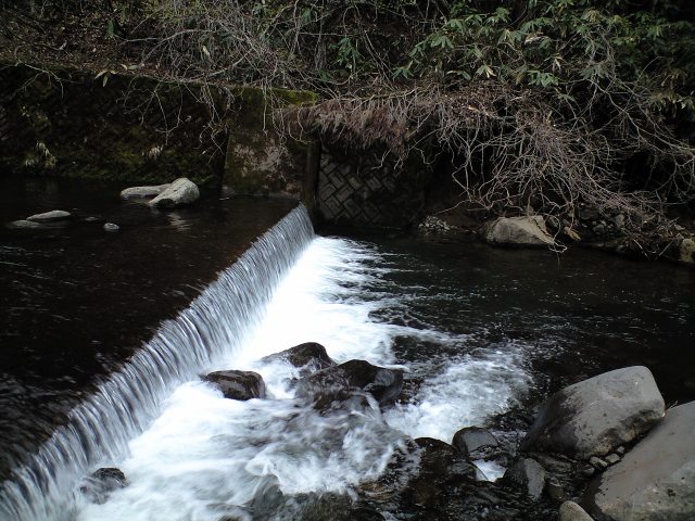 a0093677_22174342.jpg