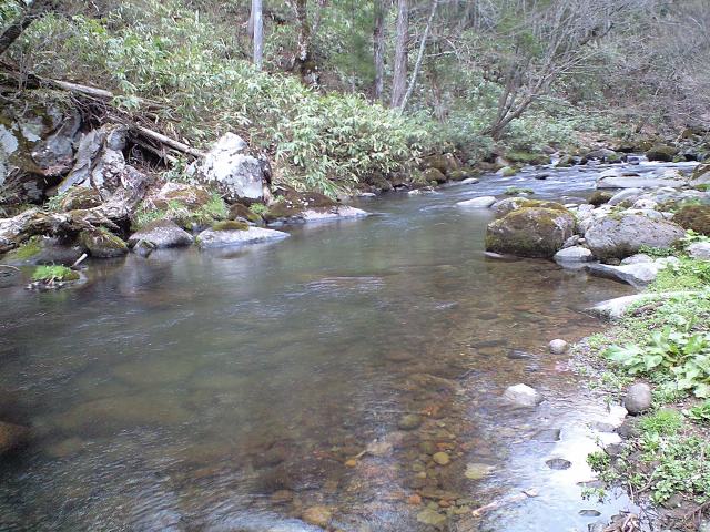 a0093677_22353646.jpg