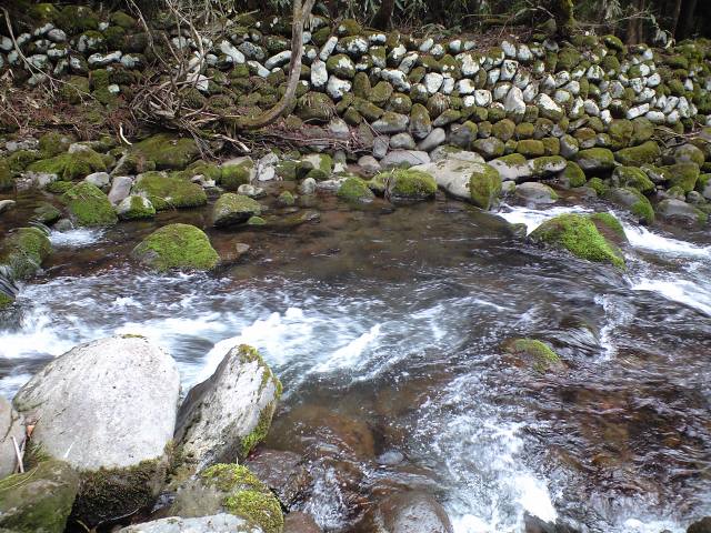 a0093677_22354991.jpg