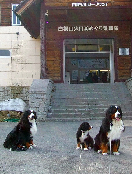 c0149178_15561958.jpg