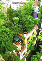 b0057679_828980.jpg