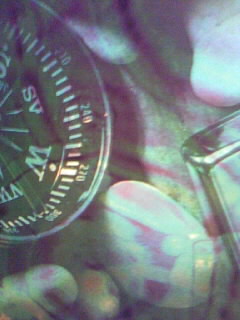 f0100480_2154886.jpg
