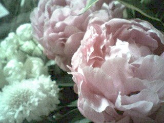 f0039281_21354861.jpg