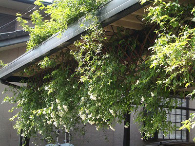 c0045882_22382272.jpg