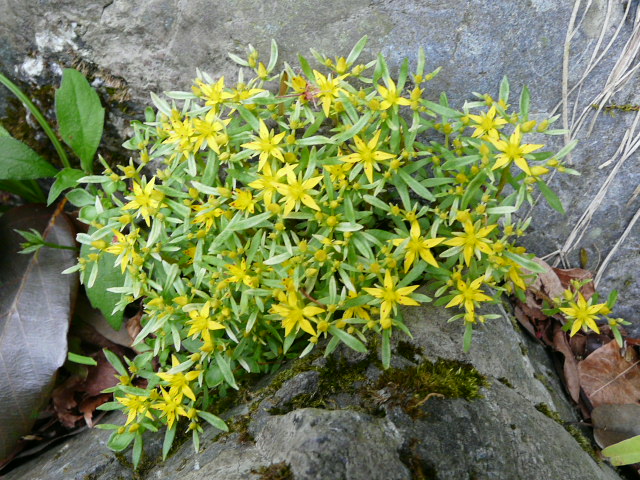 e0145782_18133981.jpg