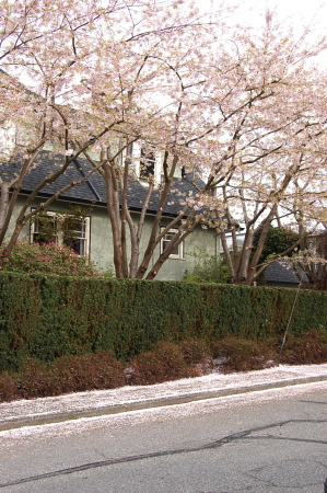 d0129786_15542283.jpg