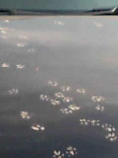 f0196887_9172599.jpg