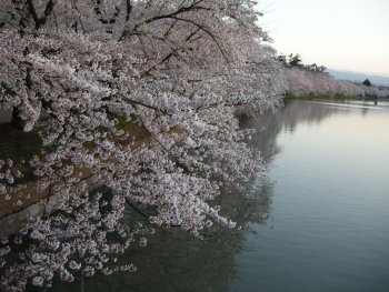 f0205887_2355837.jpg