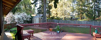 f0022388_16291817.jpg