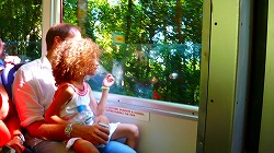 a0003089_859136.jpg