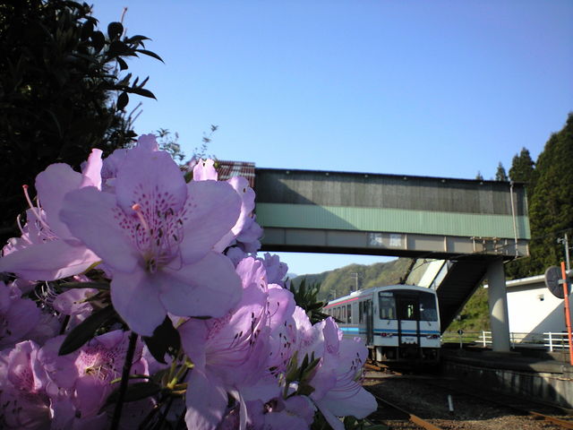 b0114392_13233329.jpg