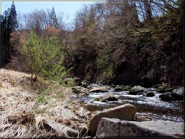 a0043395_20365194.jpg