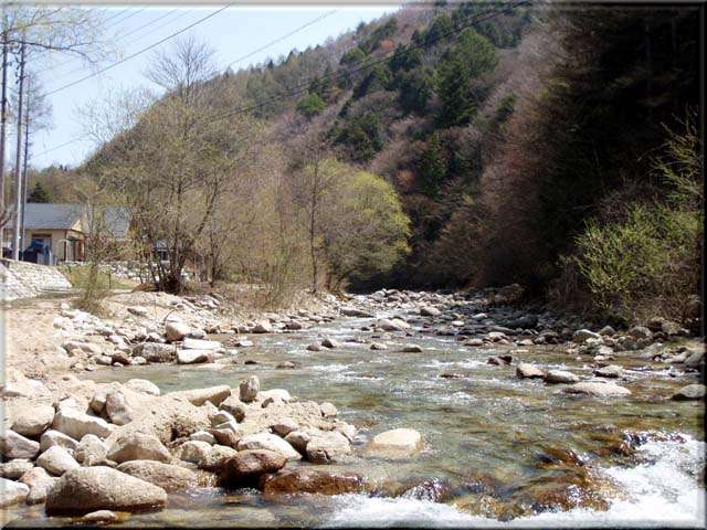 a0043395_21283024.jpg