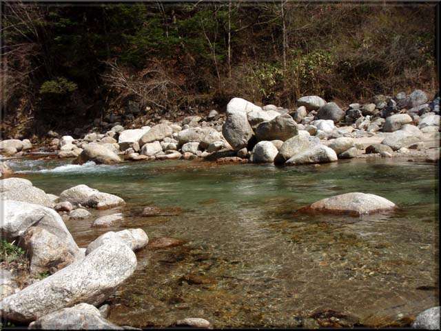 a0043395_21303172.jpg