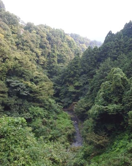 e0043700_2229266.jpg