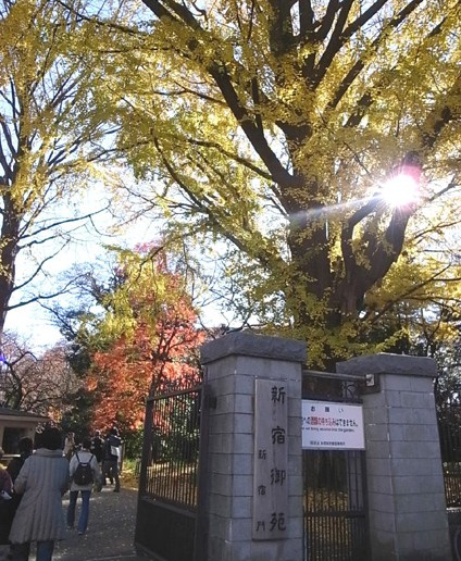 e0043700_225492.jpg