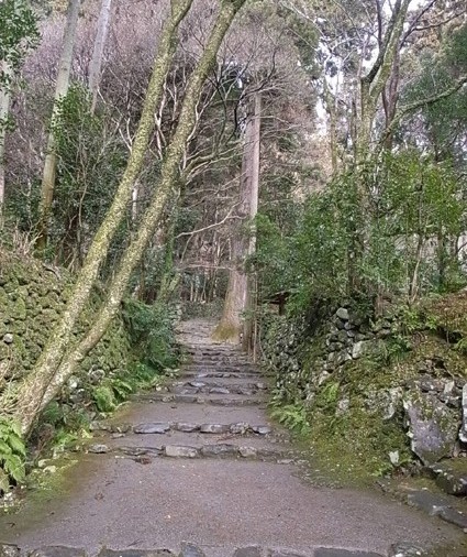 e0043700_7254074.jpg