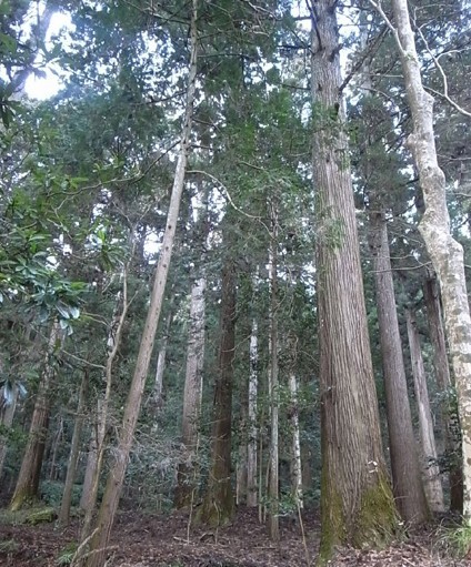 e0043700_7262284.jpg