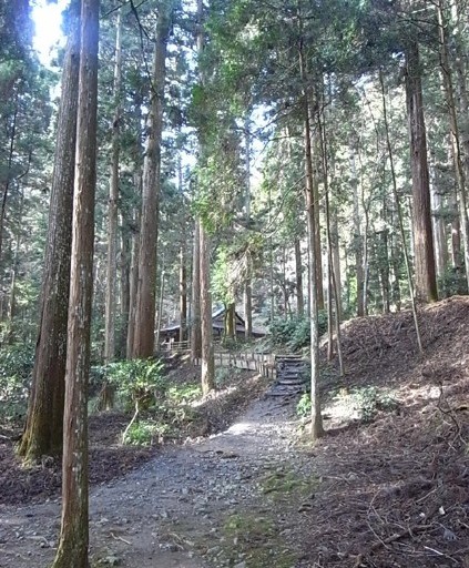 e0043700_7265963.jpg