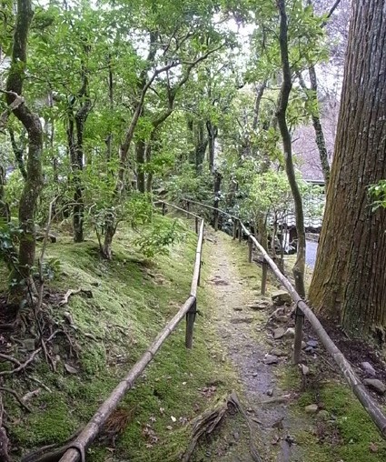 e0043700_7272798.jpg