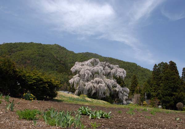 a0044202_20113617.jpg