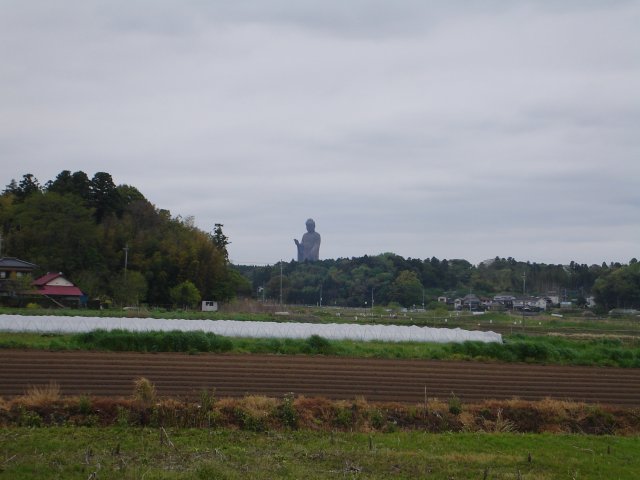 a0116205_1161014.jpg